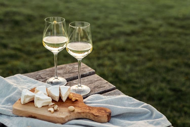 Turkish Vineyard & Wine Tasting
