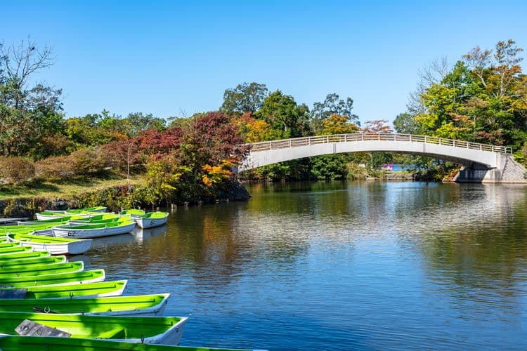 Guided in Japanese : Onuma Quasi-National Park