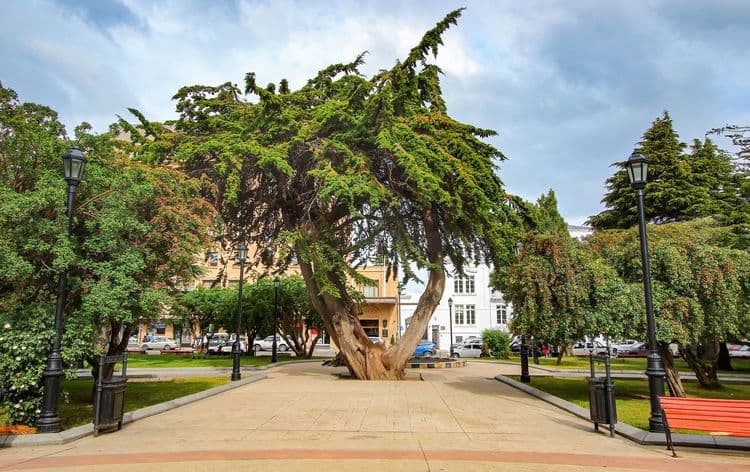 Best Of Punta Arenas