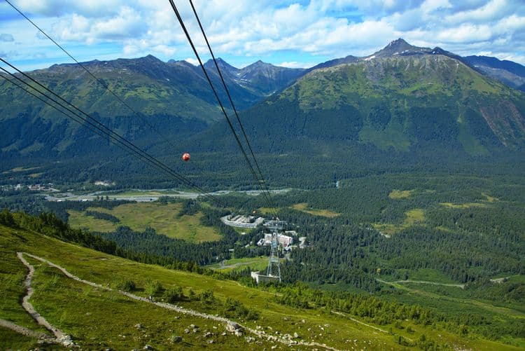 Turnagain Arm, Wildlife Conservation Center & Tram With Airport Transfer (Wheelchair Accessible)