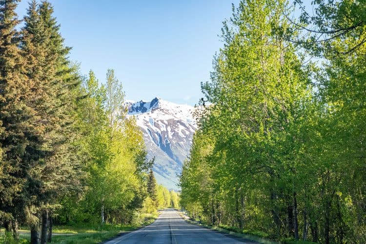 Turnagain Treasures Photo Adventure with Airport Transfer