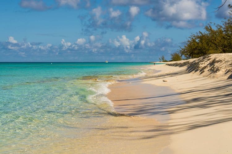 Island Vibes & Beach Swim