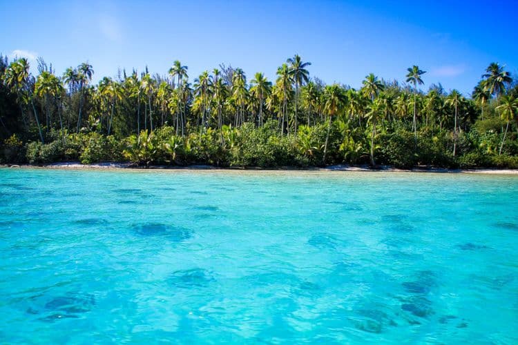 Lagoon Sail & Snorkel Tour