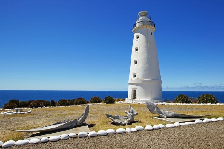 Cape Willoughby, Wines & Views