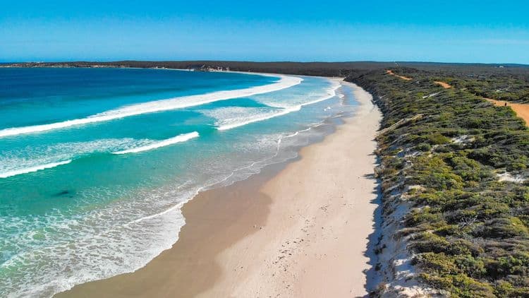 Kangaroo Island Ocean Safari