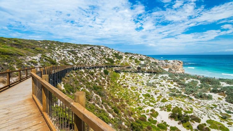 Seal Bay Boardwalk Express