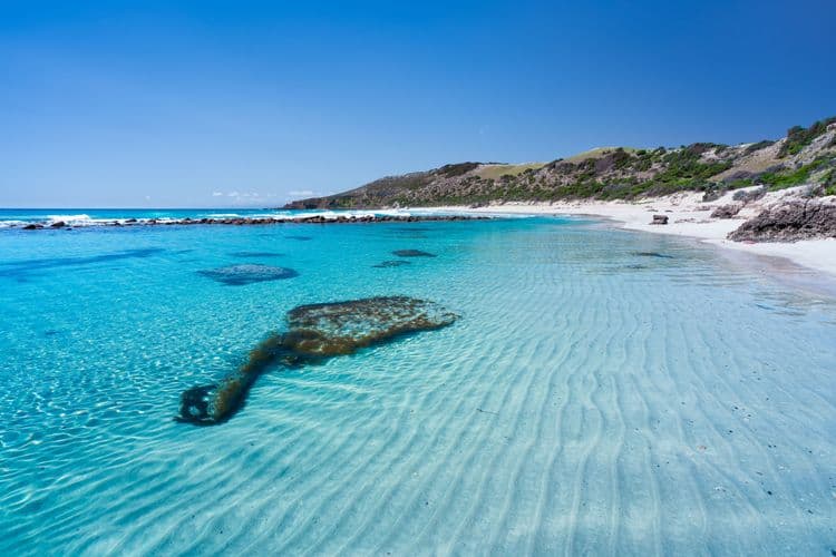 Taste of Kangaroo Island - Small Group