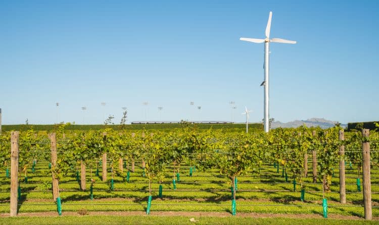 Local Connections - Hawke's Bay Wine Country