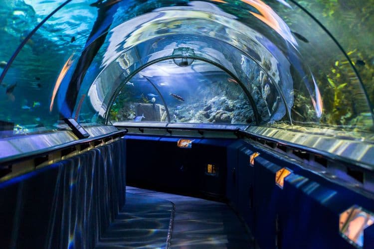 Napier City Drive & Aquarium