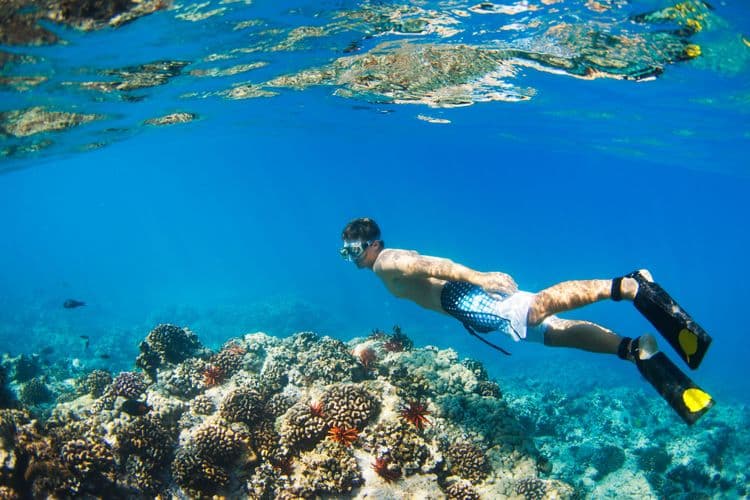 Snorkeling At Coronados Island