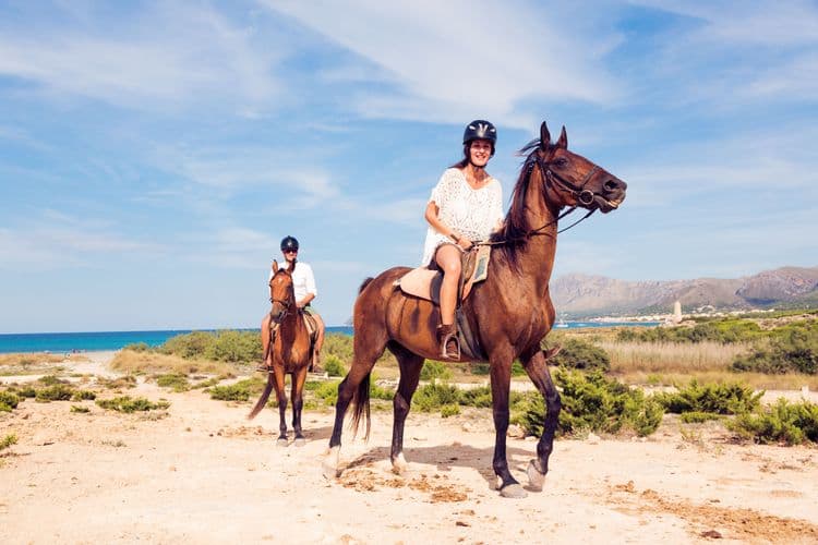 Horseback Riding at the Loreto Estuary & Beach