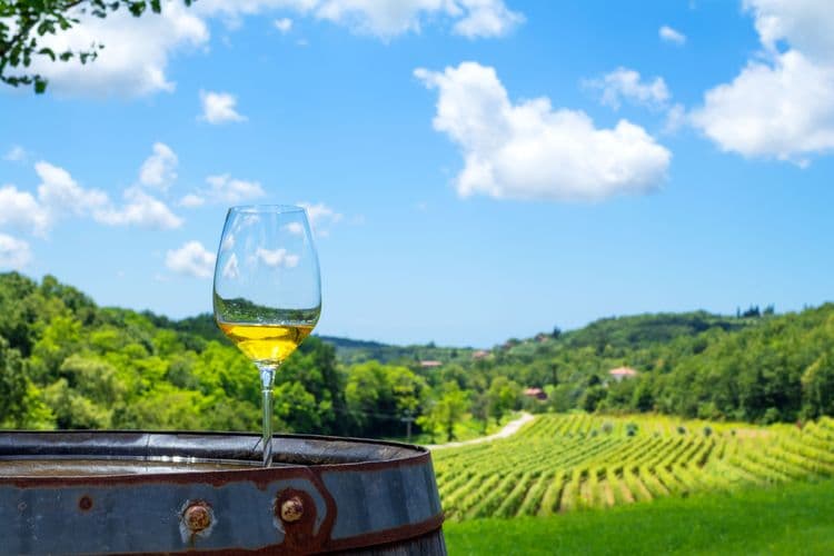 Scenic Road Train & Wine Tasting