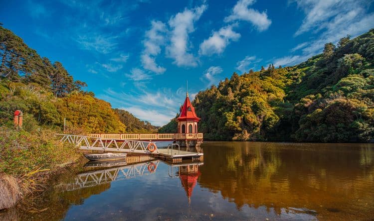 Local Connections: Zealandia Eco Reserve & Otari Wilton Bush
