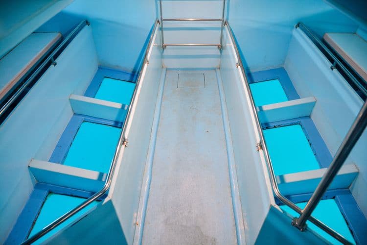 Glassbottom Boat Reef Tour