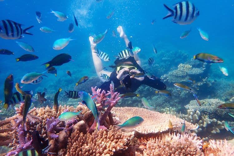 Captain Zodiac Rafting & Snorkeling Adventure