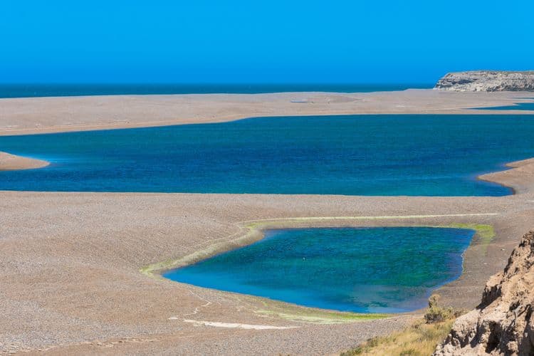 Valdes Peninsula: Caleta Valdes Lagoon & Puerto Piramide