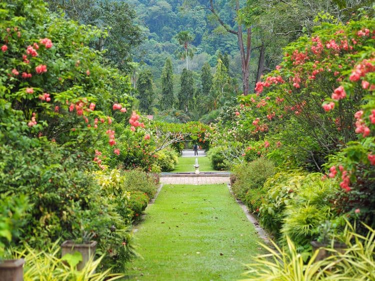 George Town: Little India, Markets & Botanical Garden