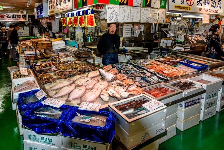 Kushiro Crane Reserve & Fish Market