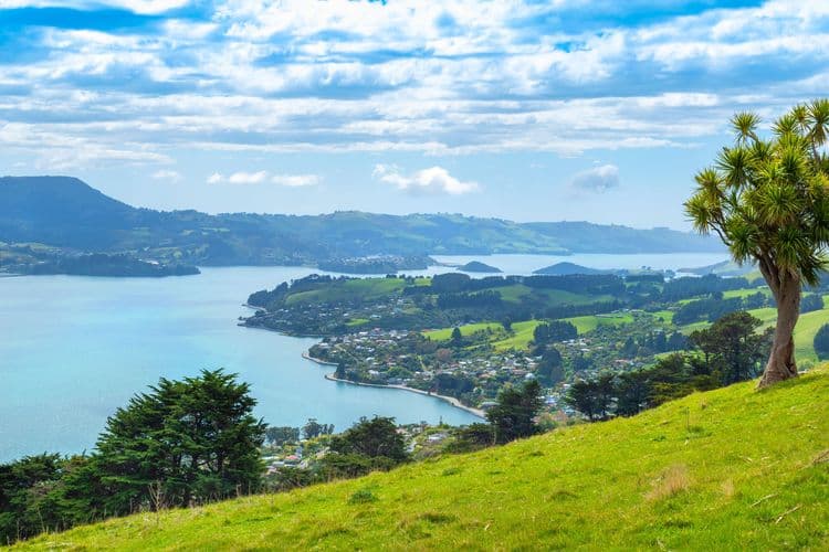 Otago Wildlife Cruise