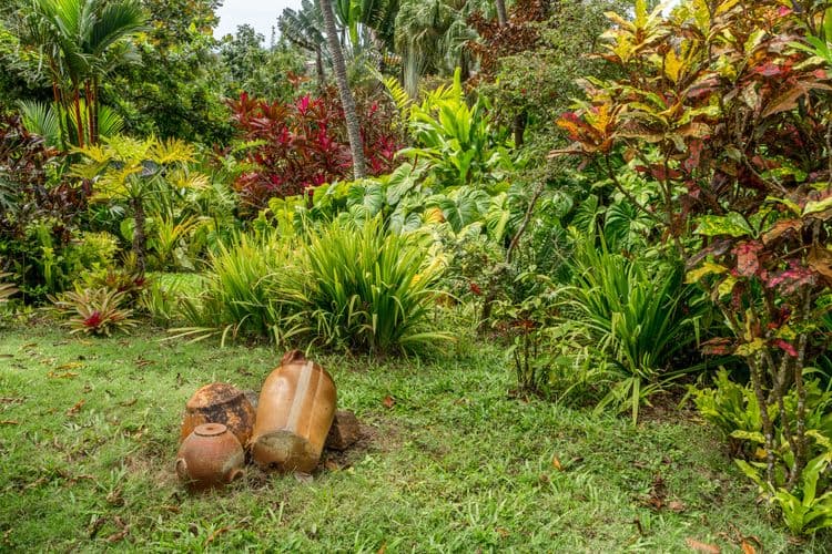Great House, Exotic Gardens & Distillery