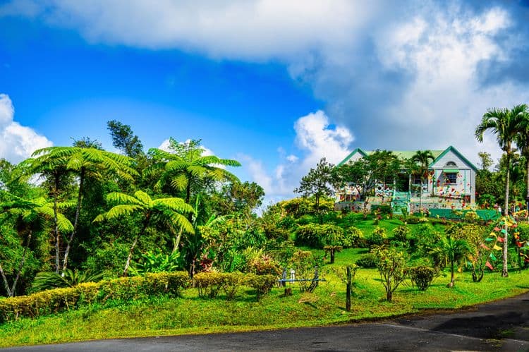 Best Of Grenada: Grand Etang Park, Ft. Frederick & Annandale Falls