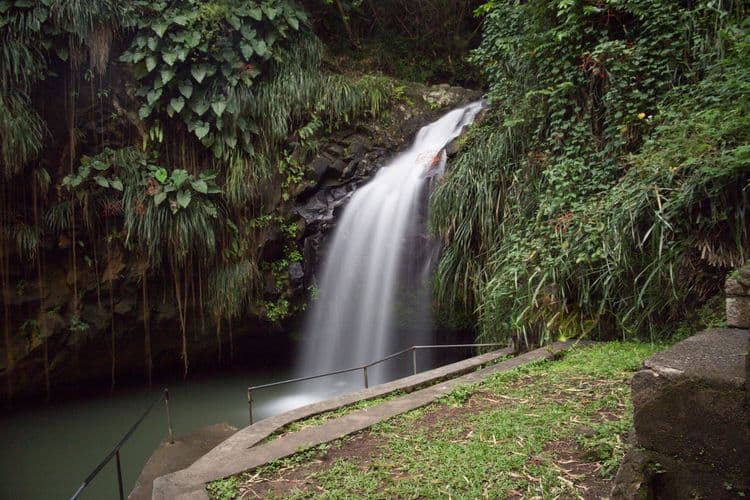 Best Of Grenada: Spice Estate, Grand Etang Park & Annandale Falls