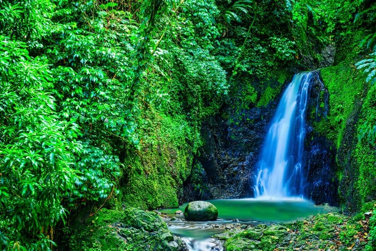 Grand Etang Park & Seven Sisters Waterfalls Hike