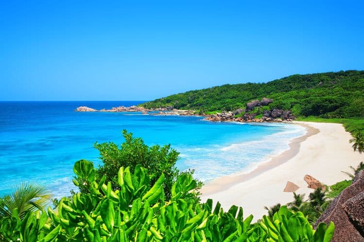 Catamaran Cruise, Grand Anse Beach & Swim