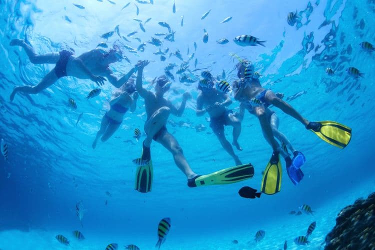 Two-Site Snorkeling Adventure