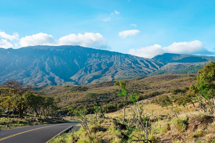 Hana Road Adventure & Picnic