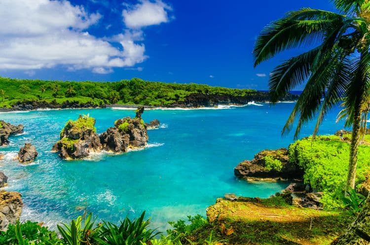 The Hana Coast