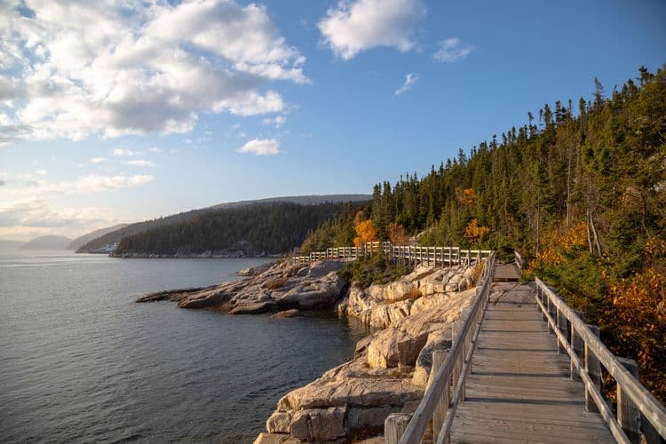 Guided Walk In Saguenay National Park