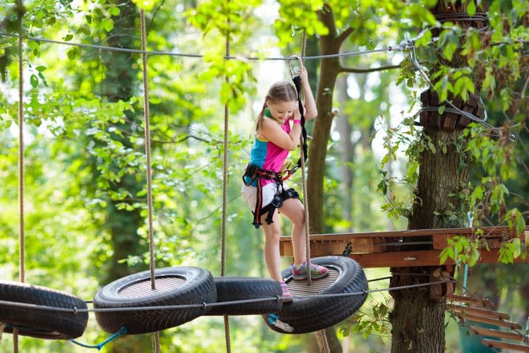 Monkey Zipline & Rum Tasting