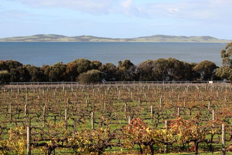 A Taste Of Port Lincoln
