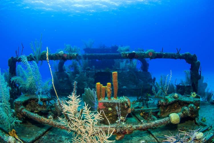 Reef And Shipwreck Snorkel & Scenic Cruise