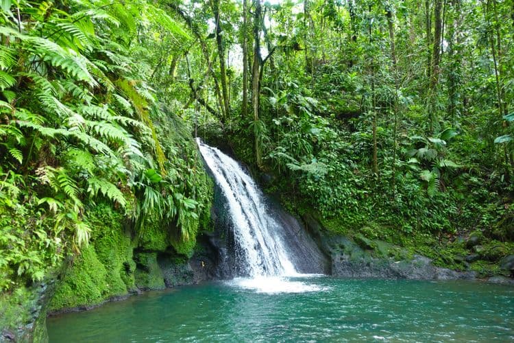 Best Of Pointe-A-Pitre: Highlights Of Guadeloupe