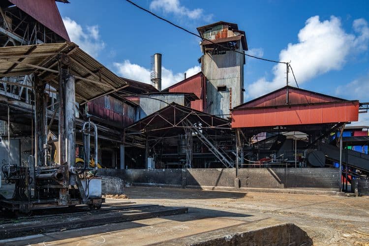 Botanic Garden & Montebello Rum Distillery