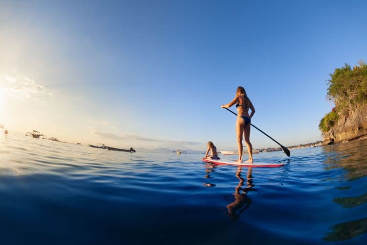 Stand Up Paddle Board