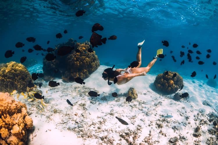 Snorkel & Scenic Coastal Cruise