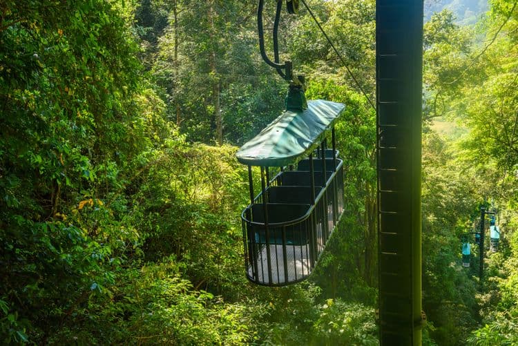 Rainforest Aerial Tram & Scenic Drive
