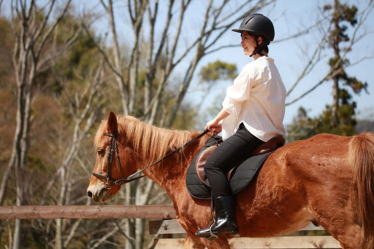 Horseback Ride Experience, Tequila and Lunch